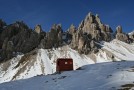 img_7539