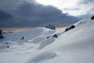 img_1335