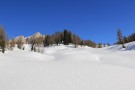 img_4014