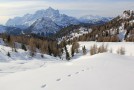 img_9677