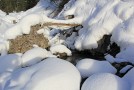 img_9736
