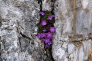 IMG_4708