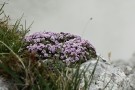 IMG_9370