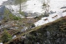 IMG_4540