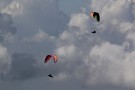 IMG_4595
